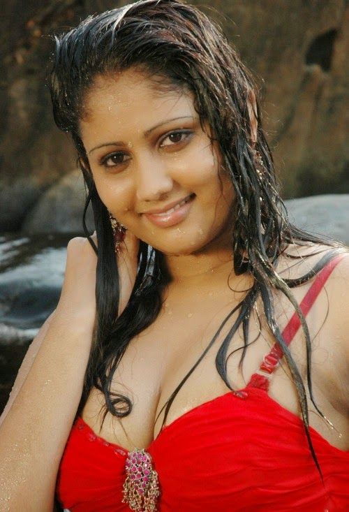 Hot south indian actress sexy boobs photo