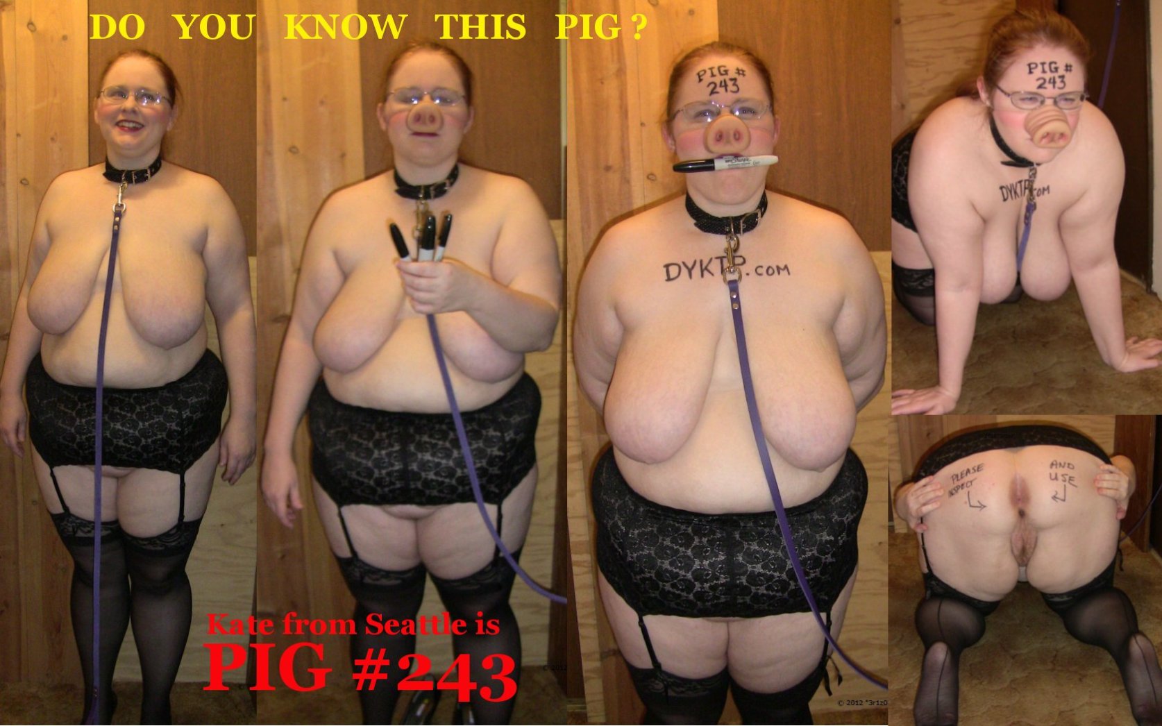 Bdsm Fat Pig Wife BDSM Fetish photo