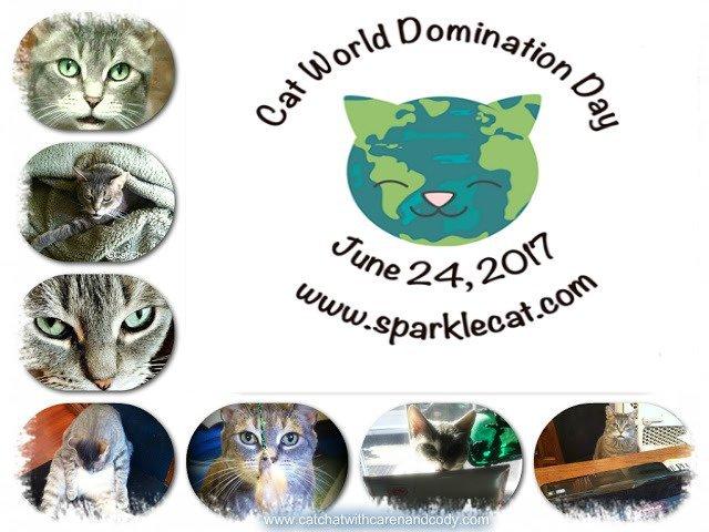 Coma recommend best of world domination cat