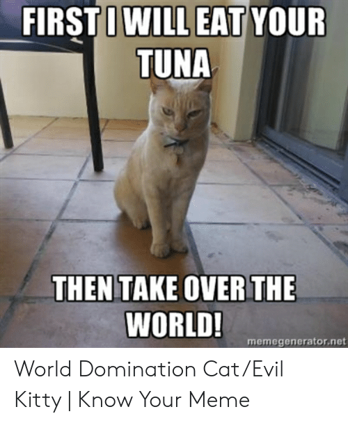 best of World domination cat