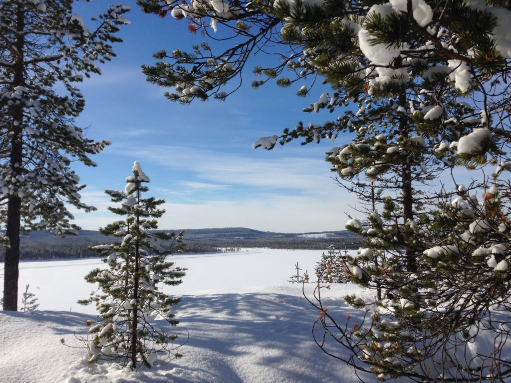 Greet beautiful finland russian winter